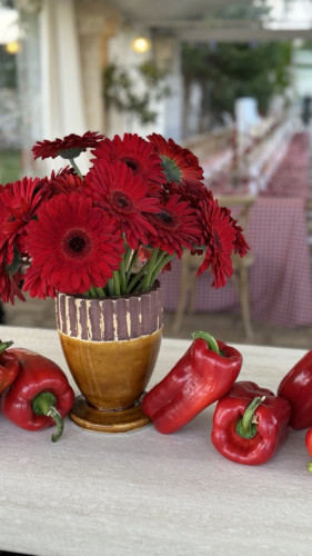 Tavola per Trenta - Spagna